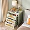 Retro Green 3-Drawer Wooden Nightstand with Rattan Accents and Gold Handles for Bedroom